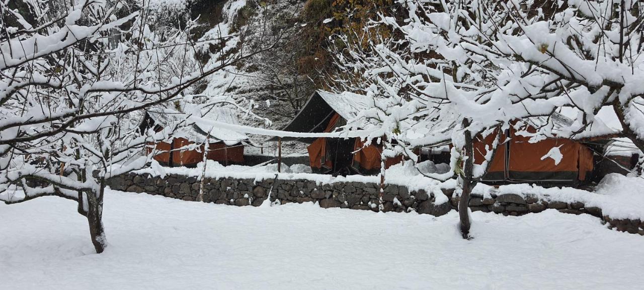 Himtrek Riverside Camps & Hostel Manali Экстерьер фото