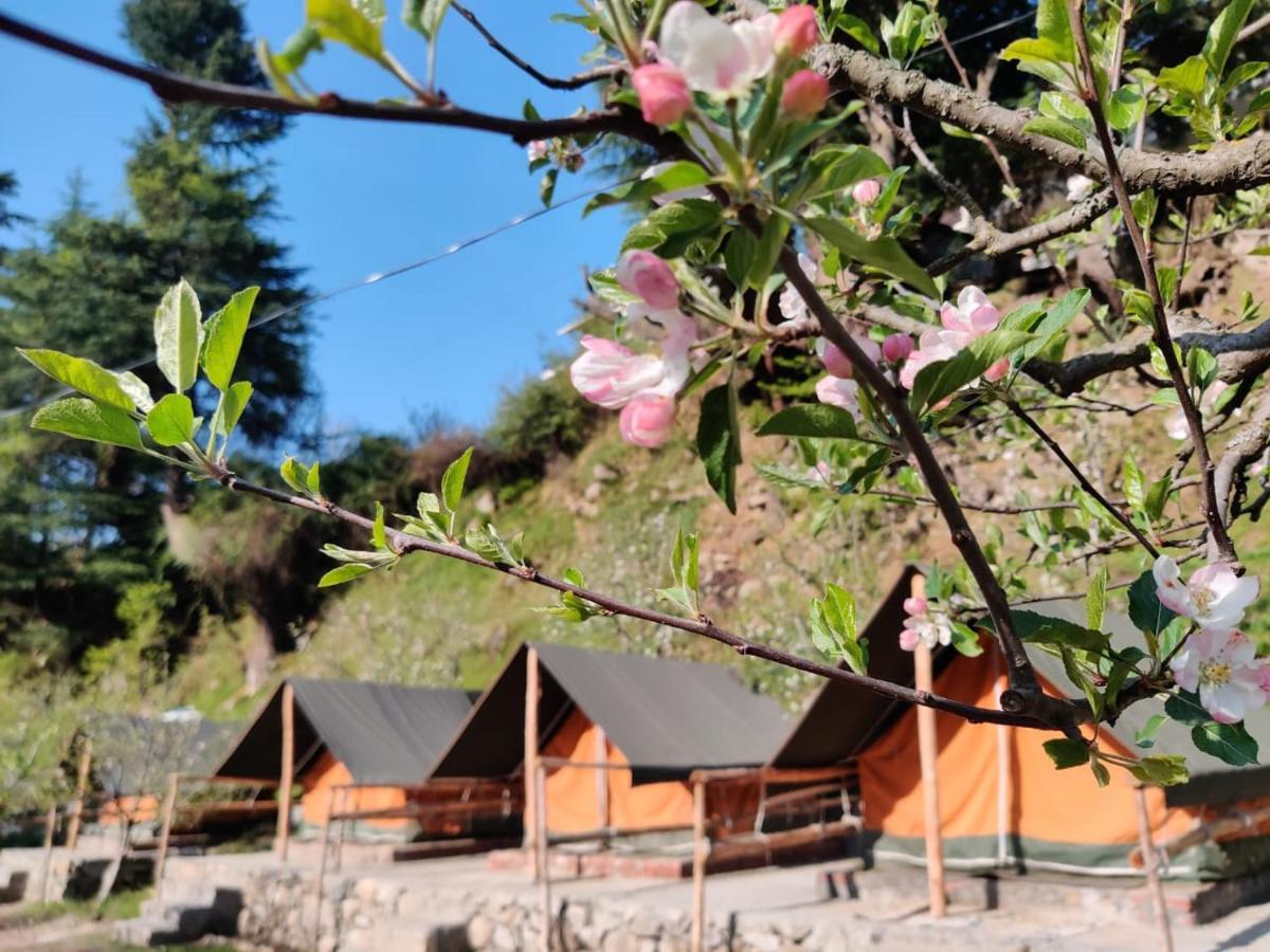 Himtrek Riverside Camps & Hostel Manali Экстерьер фото