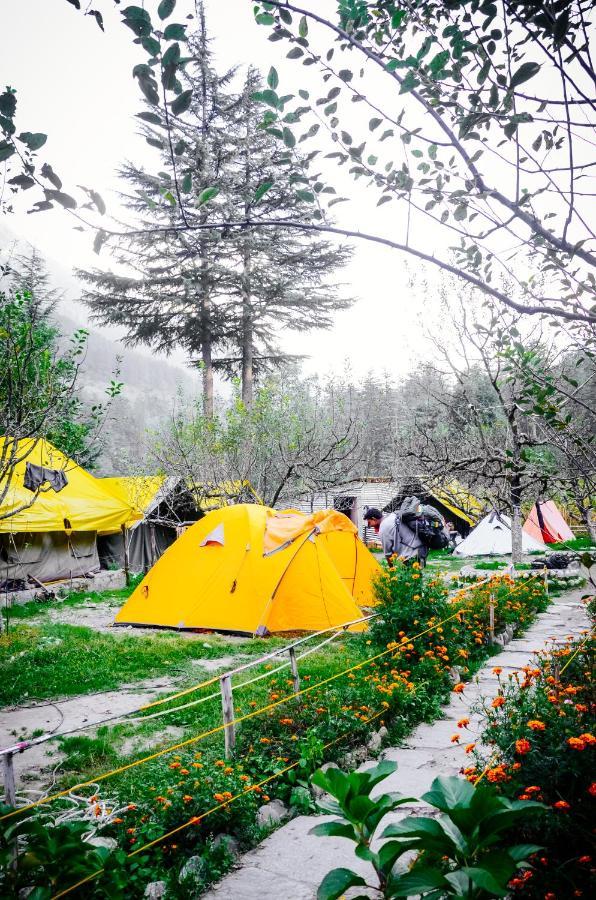 Himtrek Riverside Camps & Hostel Manali Экстерьер фото