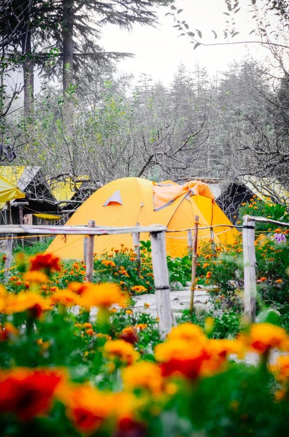 Himtrek Riverside Camps & Hostel Manali Экстерьер фото