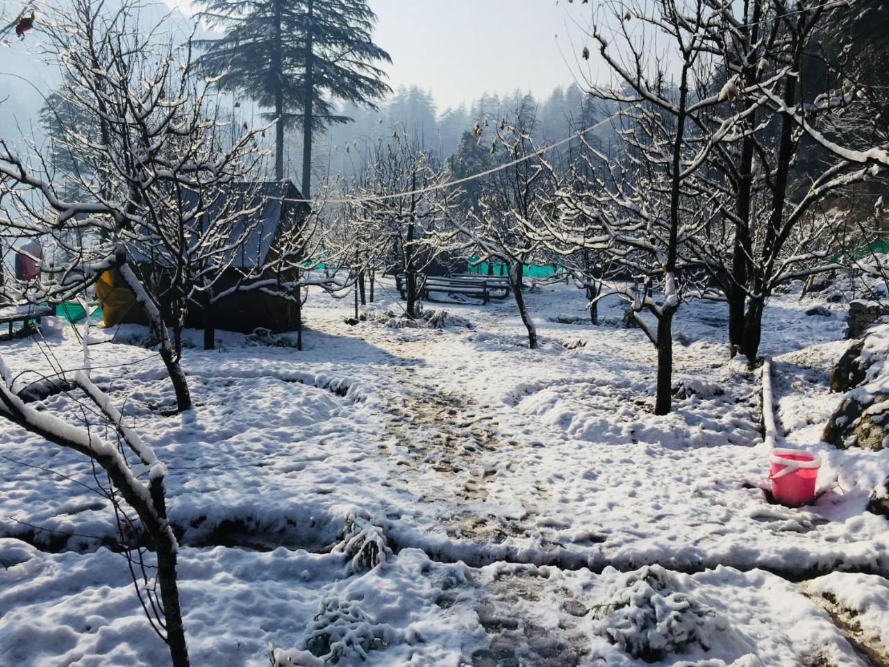 Himtrek Riverside Camps & Hostel Manali Экстерьер фото