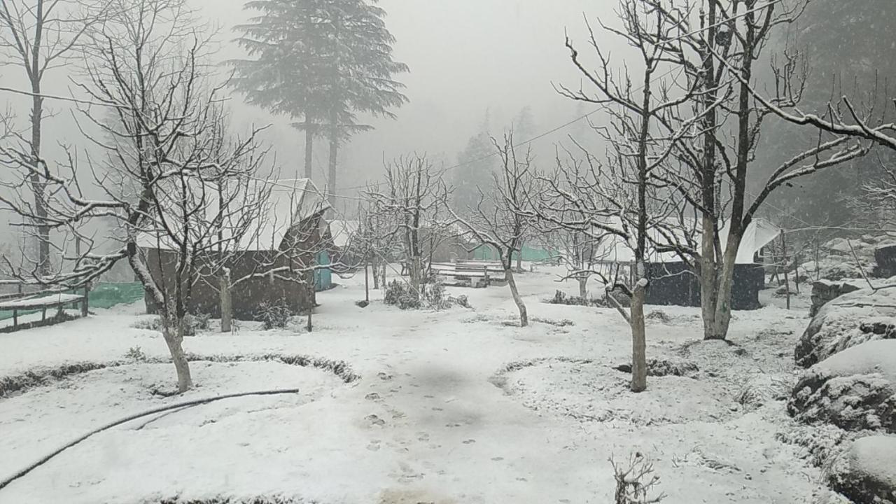 Himtrek Riverside Camps & Hostel Manali Экстерьер фото